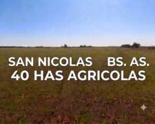 San Nicolas 40 Has Agricolas