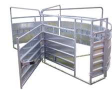 Toril Curvo de Ganado Sentido Giro Horario y Anti Horario