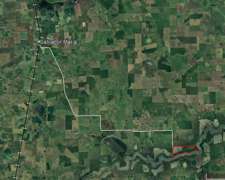 134 Has. Ganaderas. Lobos.