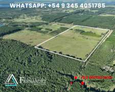 50 Has Limpias, Óptimo Forestación, Pecán, Etc.