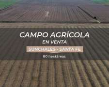 Campo Agricola 82 Ha - Sunchales