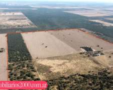 Cordoba Sebastian Elcano Al Norte 690 Has Mixtas