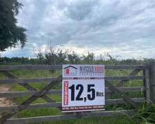 Campo de 12,5 Has con Monte de Durazno San Pedro