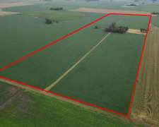 Campo en Venta Salto Bs.as.