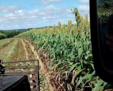 Dueño Vende Campo Misiones