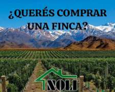 Queres Comprar UNA Finca/campo en Mendoza