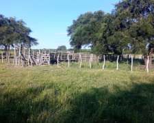 124 Ha Ganaderas. Campo Mixto. Zona Paraná