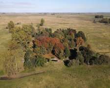 Campo En Venta De 110 Has En Mercedes. Ganadero