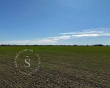 Zona Núcleo. Campo Agrícola. 40 Hectáreas.
