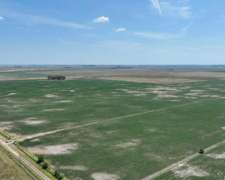 Pcia. de Buenos Aires - Carmen de Areco 66 Has