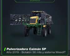 Caimán SP año 2019 C/ Weedit