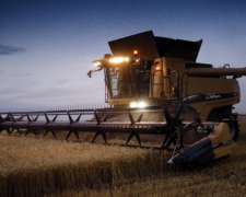 Cosechadora Challenger 540 C. con Draper Dynaflex 40 Pies