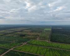 Pcia. de Santigo del Estero - Robles 3485 Ha