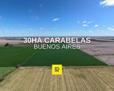30 Ha Carabelas Agricola