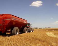 43000 S6 Cestari, para Todos los Equipos