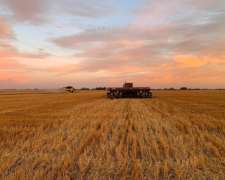 Siembras Asociadas Prov de BS AS