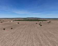 Juan Martin De Pueyrredón, San Luis - 2.350 Ha