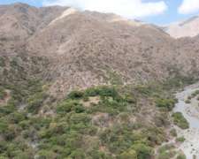 Pcia. de Salta - Cafayate 1465 Has