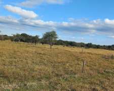 Campo Mixto 42 Hectareas Entre Rios