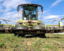 Picadora Claas Jaguar 950 - 498