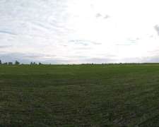 220 Ha en Lucas Gonzalez. Mixto. Buena Parte Agrícola