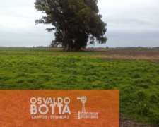 Campo Agricola en Venta 56 Hectareas Suipacha