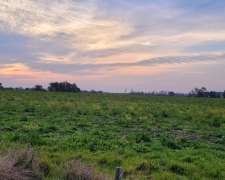 5 Mil M2 en Colón. Entre Ríos