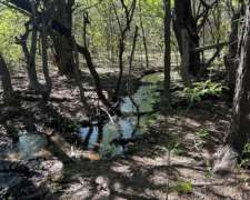 San Francisco Rio Gomez Chacra 4 Has
