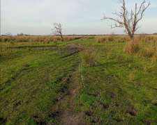 Vendo Campo Ganadero en E.rios