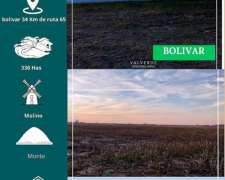 Campo en Bolivar 330 Has