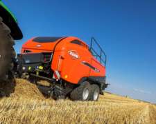 Megaenfardadora Kuhn Lsb 1270