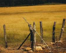 Venta Campo En Laboulaye - 2000 Ha