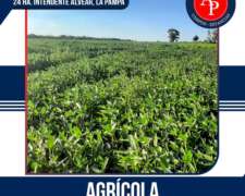 En Venta 24. Ha. Intendente Alvear, La Pampa