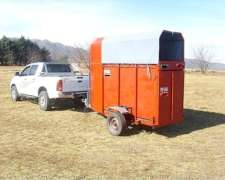 Flete Traslado de Caballos en Cordoba
