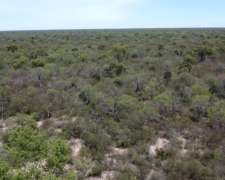 Excelenta Campo en Zona Amama