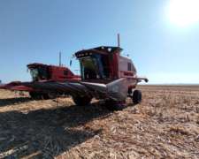 Cosechadora Don Roque DR 550 - año 2018