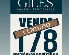 Campo 178 Hectáreas Agrícola