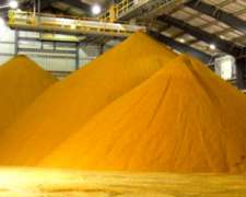 Burlanda de Maiz Seca - Lasna Insumos - MÍN 20/28 TNS