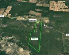 9000 Hectáreas En Venta En Dragones, Salta