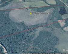 80 Has - Colón - Entre Rios