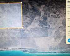 Campo en Viedma Costa de MAR