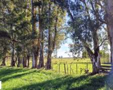 Venta de Campo de 75 HA.