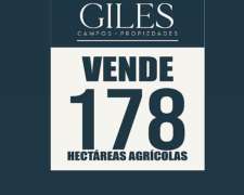 Campo Agrícola 178 Hectáreas