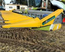 Maicero Allochis 2019 Excelente