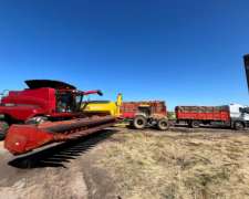 Servicio de Cosecha de Maíz y Girasol