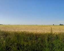 Exelente Campo en Pergamino.