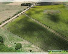 Campo Mixto Agricola, Balcarce,. Bs As. Consultar