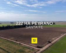 222 Ha Peyrano - Campo Mixto
