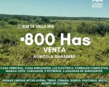 Campaso Mixto en Villa Iris