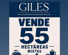 Campo Mixto 55 Hectáreas Villa Gral Savio